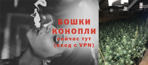 твердый Абаза