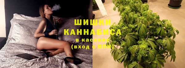 твердый Абаза