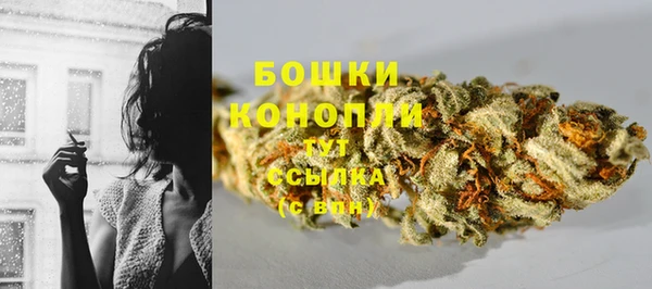 твердый Абаза