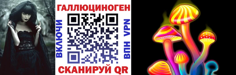 Псилоцибиновые грибы Psilocybe  Кудымкар 