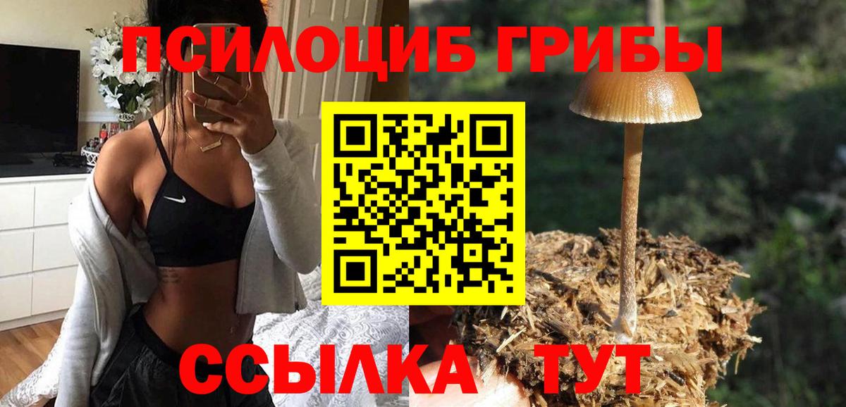Кудымкар  Галлюциногенные грибы MAGIC MUSHROOMS  Псилоцибиновые грибы мухоморы  Вход с VPN 