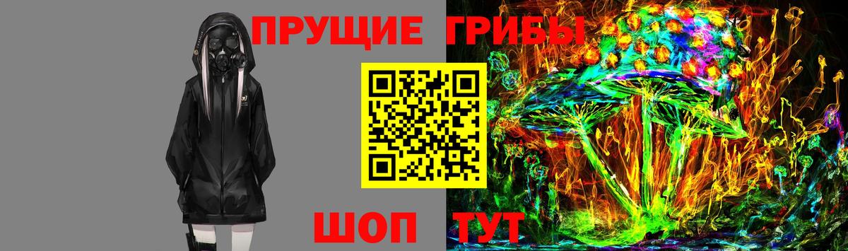 Псилоцибиновые грибы мухоморы Кудымкар